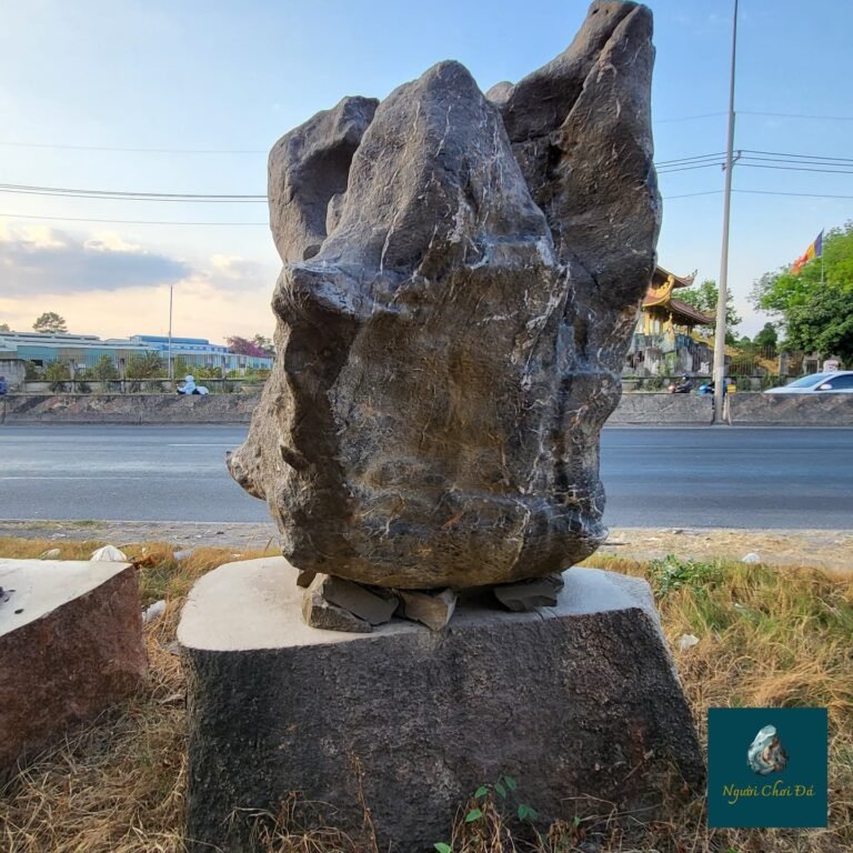 Instagram post from nguoichoidacaocap. This post is in position 46.