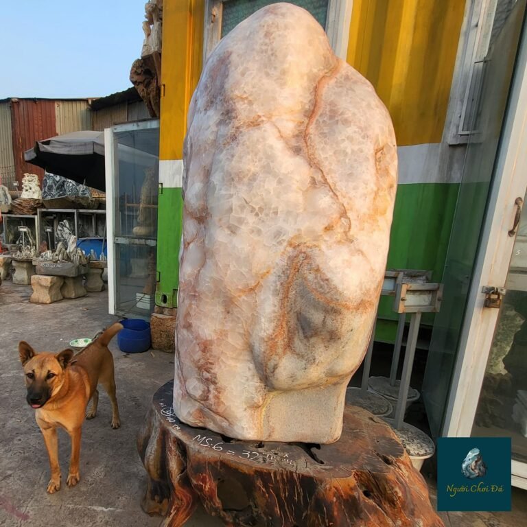 Instagram post from nguoichoidacaocap. This post is in position 21.