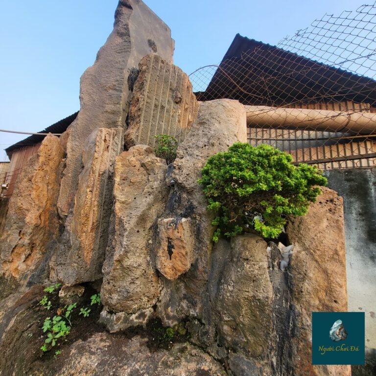 Instagram post from nguoichoidacaocap. This post is in position 10.